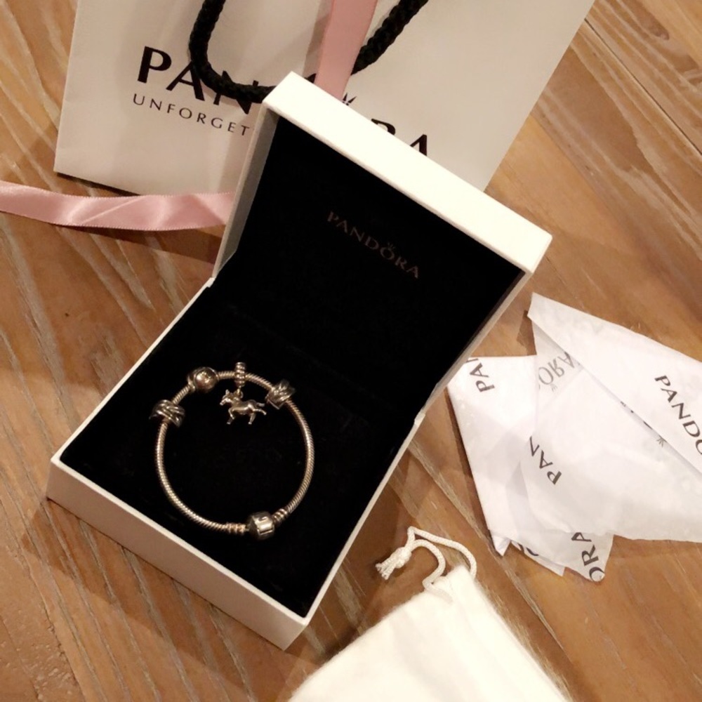 Pandora Bracelet & Charms